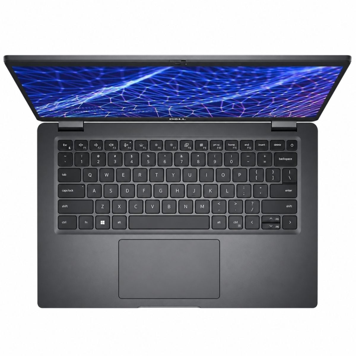 #COMBOEMBRUJADO Computadora portátil Dell Latitude 3430 y Guirnalda con 10 focos LED de Calabaza con Sombrero