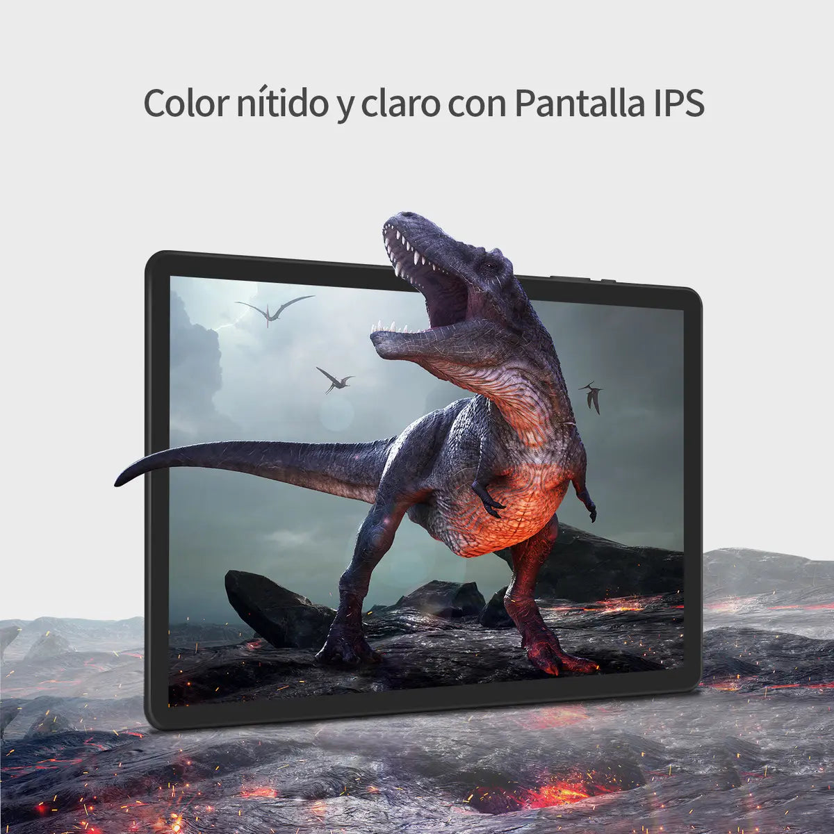 Tablet 10 Pulgadas Vankyo VZ4 Kids Matrix
