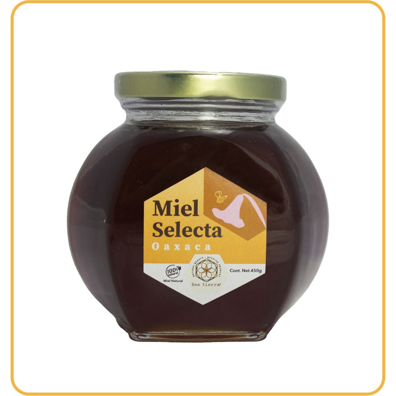 Miel Selecta Oaxaca  - BEE TIERRA - 450g