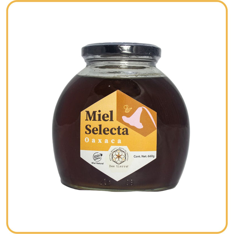 Miel Selecta Oaxaca  - BEE TIERRA - 660g