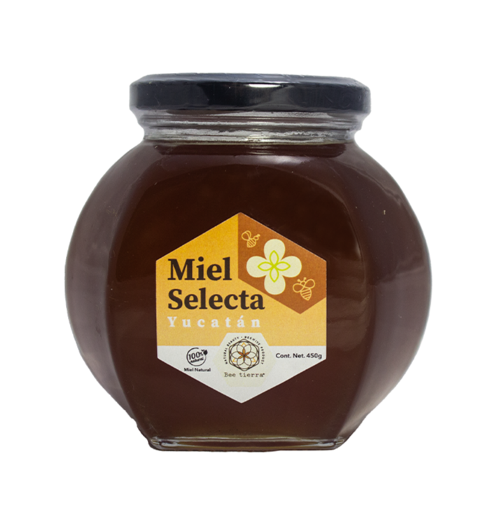 Miel Selecta Yucatán  - BEE TIERRA - 450g