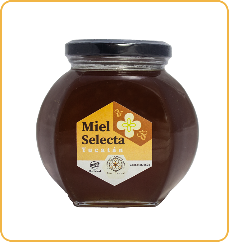 Miel Selecta Yucatán  - BEE TIERRA - 450g