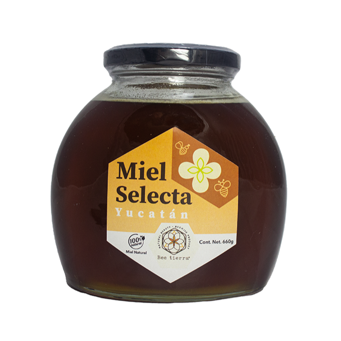 Miel Selecta Yucatán  - BEE TIERRA - 660g