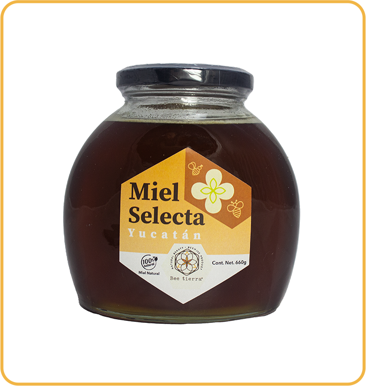 Miel Selecta Yucatán  - BEE TIERRA - 660g