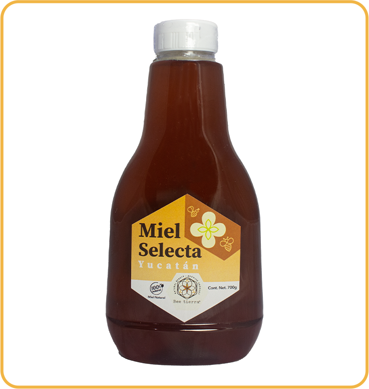 Miel Selecta Yucatán  - BEE TIERRA - 700g